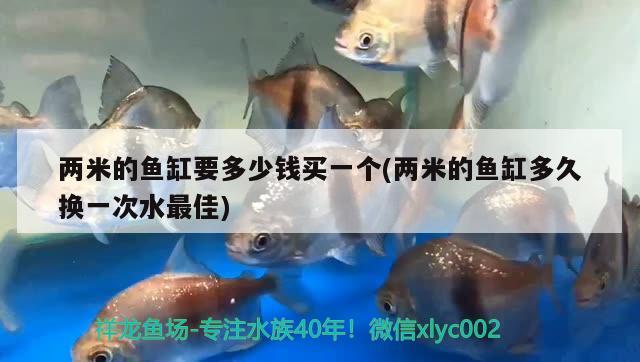 兩米的魚缸要多少錢買一個(兩米的魚缸多久換一次水最佳) 委內(nèi)瑞拉奧里諾三間魚