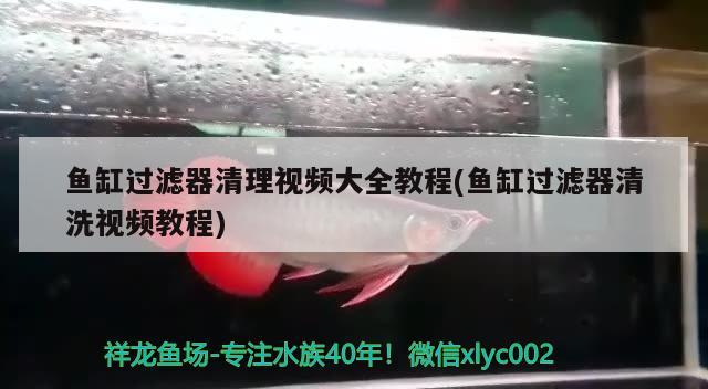 魚缸過濾器清理視頻大全教程(魚缸過濾器清洗視頻教程)