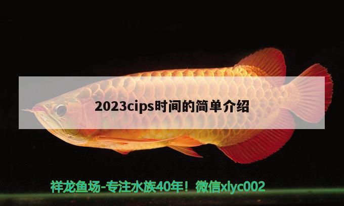 2023cips時間的簡單介紹