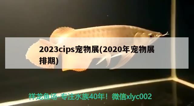 2023cips寵物展(2020年寵物展排期) 水族雜談