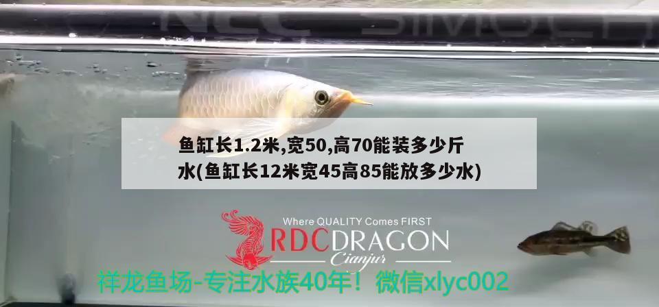 魚缸長1.2米,寬50,高70能裝多少斤水(魚缸長12米寬45高85能放多少水)