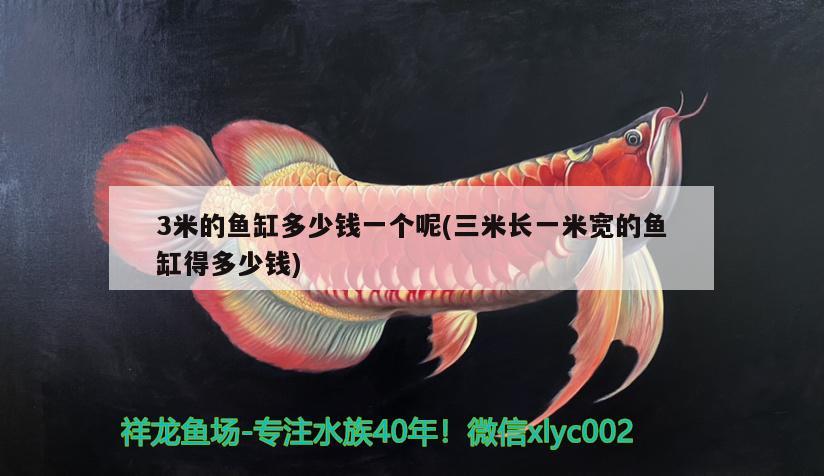 3米的魚缸多少錢一個(gè)呢(三米長一米寬的魚缸得多少錢)