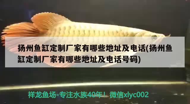 揚(yáng)州魚缸定制廠家有哪些地址及電話(揚(yáng)州魚缸定制廠家有哪些地址及電話號(hào)碼)