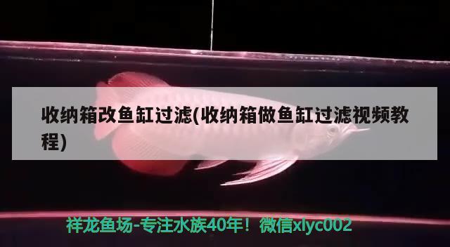 收納箱改魚(yú)缸過(guò)濾(收納箱做魚(yú)缸過(guò)濾視頻教程)