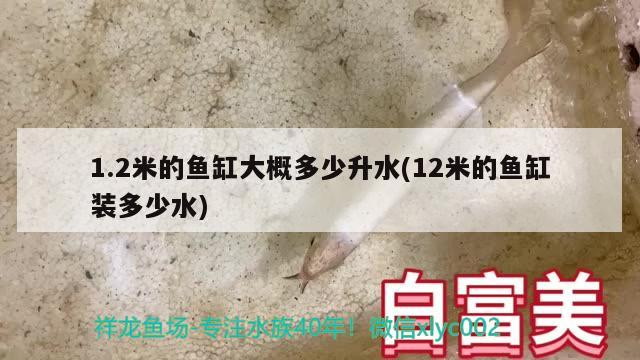 1.2米的魚缸大概多少升水(12米的魚缸裝多少水) 哥倫比亞巨暴魚苗