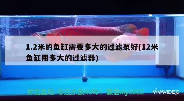 1.2米的魚缸需要多大的過濾泵好(12米魚缸用多大的過濾器)