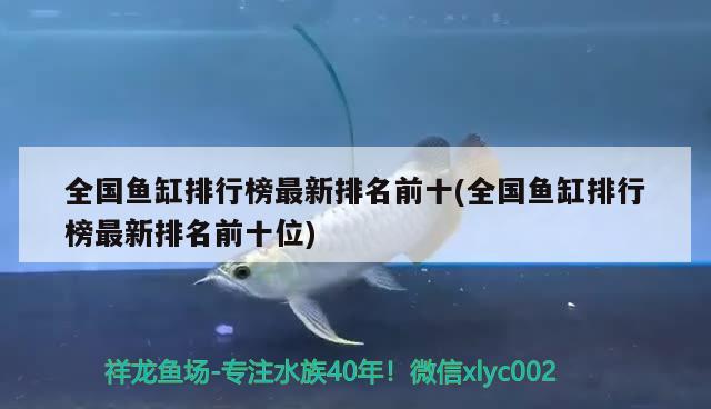 全國魚缸排行榜最新排名前十(全國魚缸排行榜最新排名前十位)