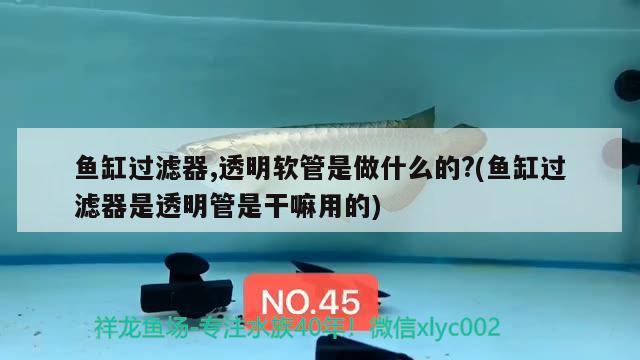 魚缸過濾器,透明軟管是做什么的?(魚缸過濾器是透明管是干嘛用的)