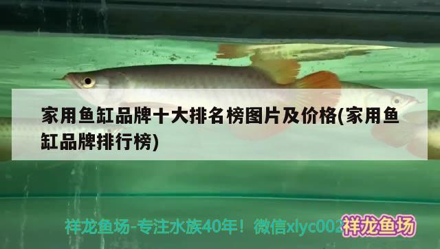 家用魚缸品牌十大排名榜圖片及價格(家用魚缸品牌排行榜) 孵化器