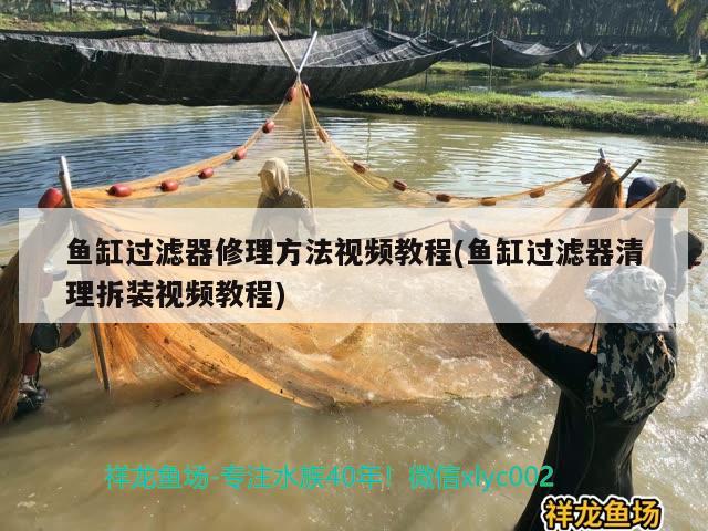 魚缸過濾器修理方法視頻教程(魚缸過濾器清理拆裝視頻教程) 祥龍赫舞紅龍魚