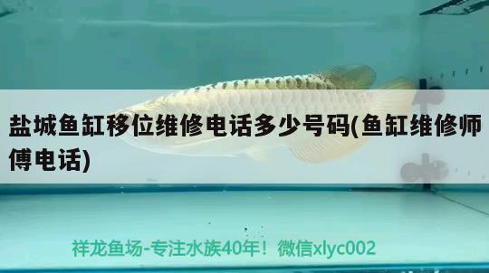 鹽城魚缸移位維修電話多少號碼(魚缸維修師傅電話)