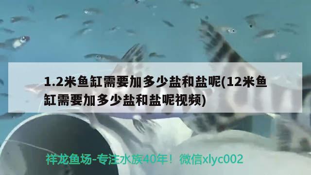 1.2米魚缸需要加多少鹽和鹽呢(12米魚缸需要加多少鹽和鹽呢視頻)