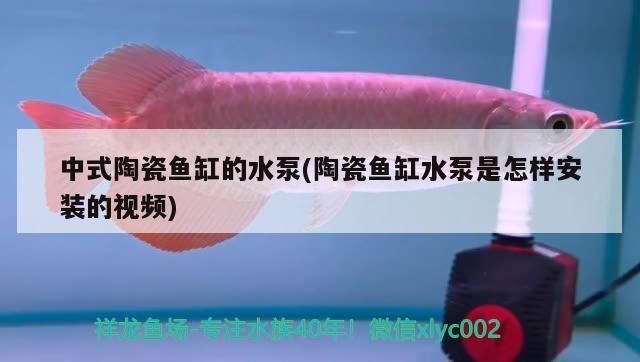 中式陶瓷魚缸的水泵(陶瓷魚缸水泵是怎樣安裝的視頻) 魚缸水泵