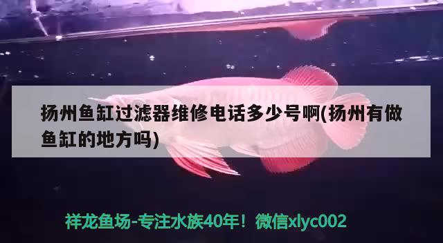 揚州魚缸過濾器維修電話多少號啊(揚州有做魚缸的地方嗎)