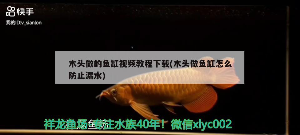 木頭做的魚缸視頻教程下載(木頭做魚缸怎么防止漏水) 魚缸水質(zhì)穩(wěn)定劑