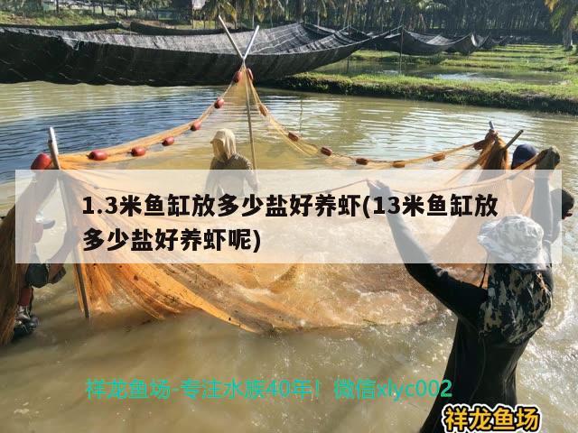 1.3米魚缸放多少鹽好養(yǎng)蝦(13米魚缸放多少鹽好養(yǎng)蝦呢)