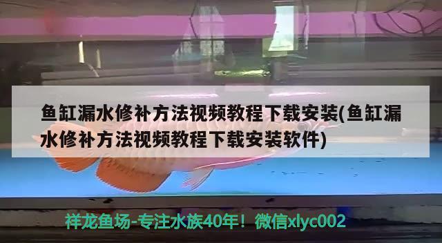 魚缸漏水修補方法視頻教程下載安裝(魚缸漏水修補方法視頻教程下載安裝軟件) 蘇虎