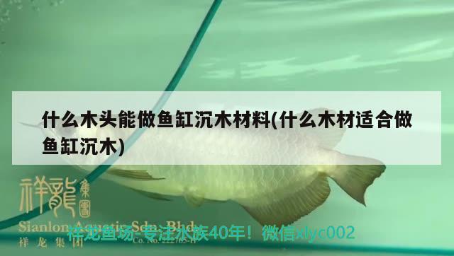 什么木頭能做魚缸沉木材料(什么木材適合做魚缸沉木)