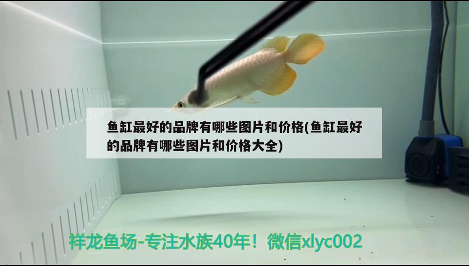 魚缸最好的品牌有哪些圖片和價(jià)格(魚缸最好的品牌有哪些圖片和價(jià)格大全) 銀龍魚百科