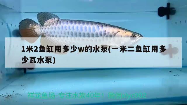 1米2魚缸用多少w的水泵(一米二魚缸用多少瓦水泵)