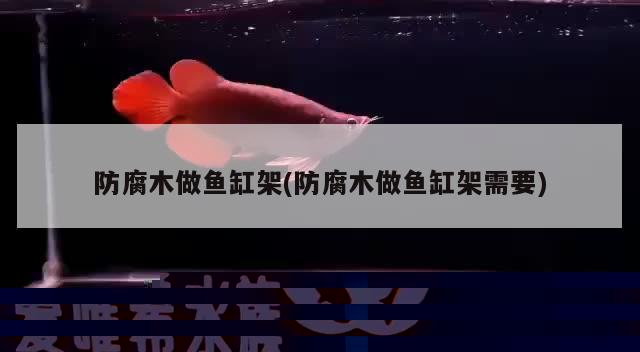 1米的魚缸加多少鹽殺菌(1米缸放多少鹽) 潛水艇魚