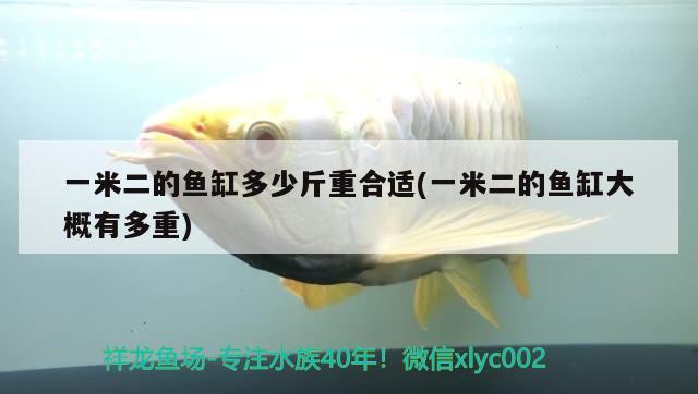 一米二的魚缸多少斤重合適(一米二的魚缸大概有多重)