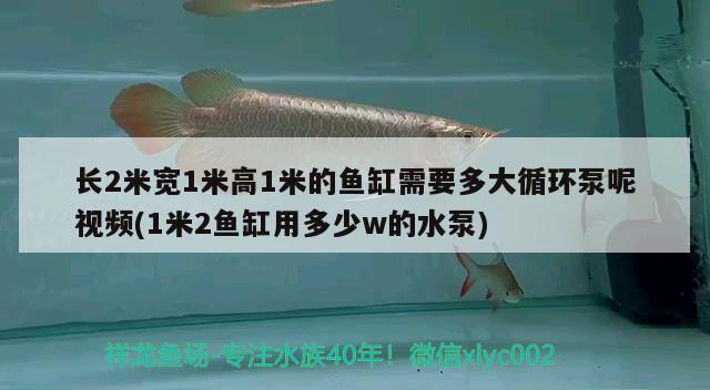 長(zhǎng)2米寬1米高1米的魚缸需要多大循環(huán)泵呢視頻(1米2魚缸用多少w的水泵) 綠皮辣椒小紅龍