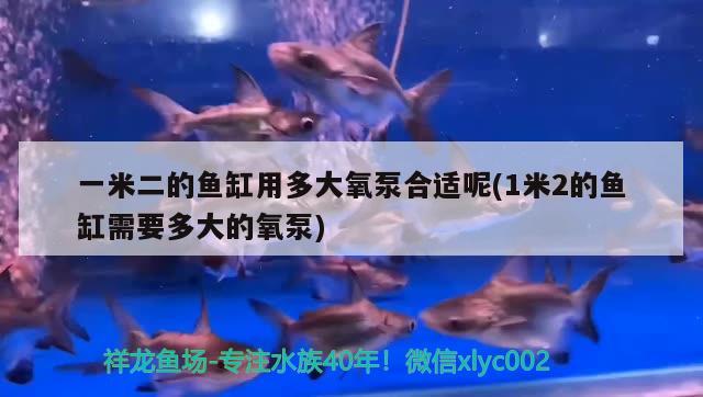 一米二的魚缸用多大氧泵合適呢(1米2的魚缸需要多大的氧泵)