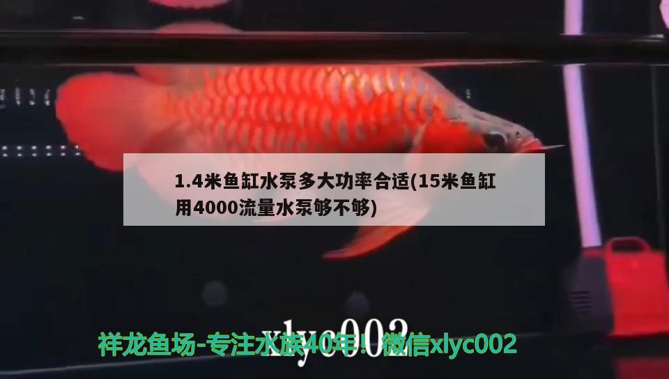 1.4米魚(yú)缸水泵多大功率合適(15米魚(yú)缸用4000流量水泵夠不夠) 魚(yú)缸水泵