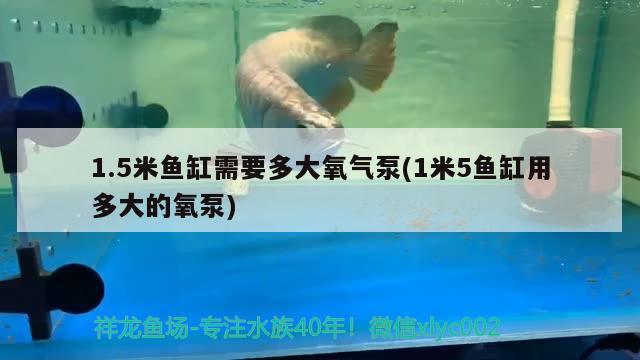 1.5米魚(yú)缸需要多大氧氣泵(1米5魚(yú)缸用多大的氧泵) 綠皮辣椒小紅龍