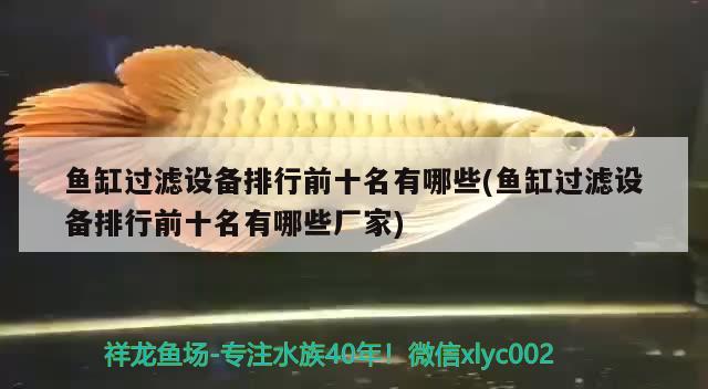 魚缸過濾設(shè)備排行前十名有哪些(魚缸過濾設(shè)備排行前十名有哪些廠家)