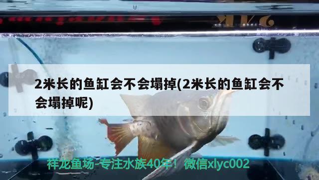 2米長的魚缸會不會塌掉(2米長的魚缸會不會塌掉呢) 魚糧魚藥