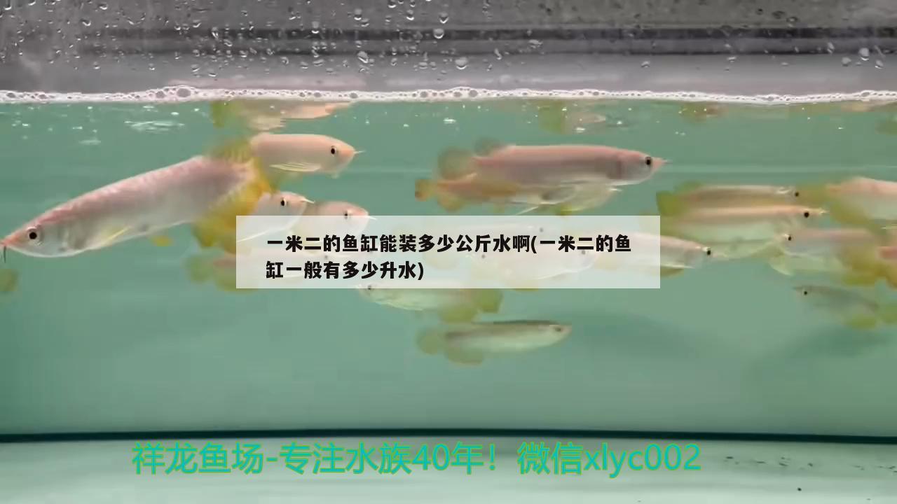 一米二的魚(yú)缸能裝多少公斤水啊(一米二的魚(yú)缸一般有多少升水)