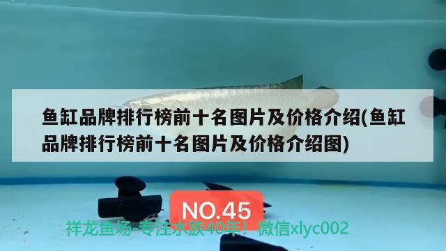 魚(yú)缸品牌排行榜前十名圖片及價(jià)格介紹(魚(yú)缸品牌排行榜前十名圖片及價(jià)格介紹圖) 祥龍傳奇品牌魚(yú)缸