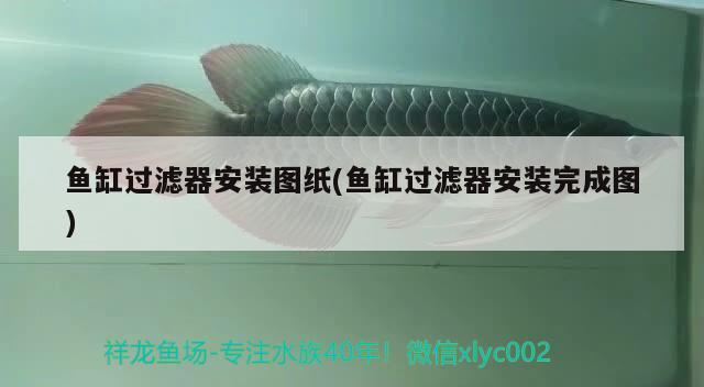 魚缸過濾器安裝圖紙(魚缸過濾器安裝完成圖)