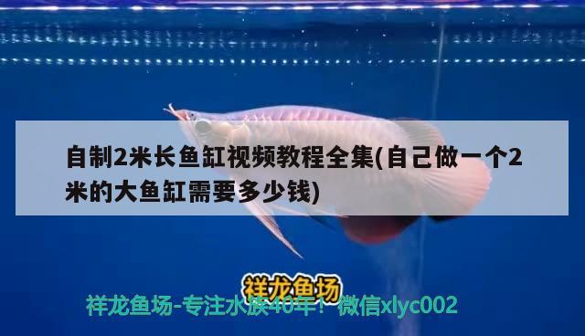 自制2米長魚缸視頻教程全集(自己做一個2米的大魚缸需要多少錢)