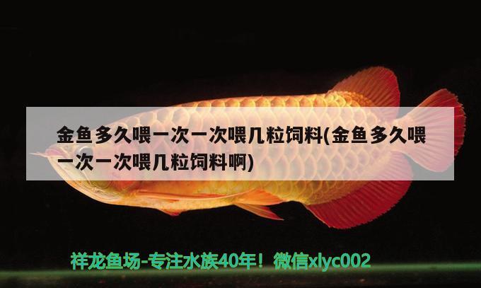 金魚多久喂一次一次喂幾粒飼料(金魚多久喂一次一次喂幾粒飼料啊)