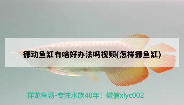 挪動(dòng)魚缸有啥好辦法嗎視頻(怎樣挪魚缸)