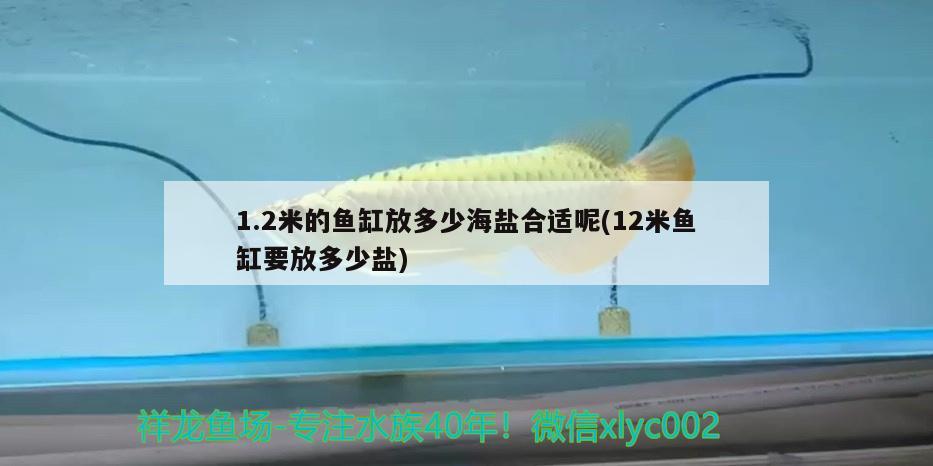 1.2米的魚(yú)缸放多少海鹽合適呢(12米魚(yú)缸要放多少鹽)