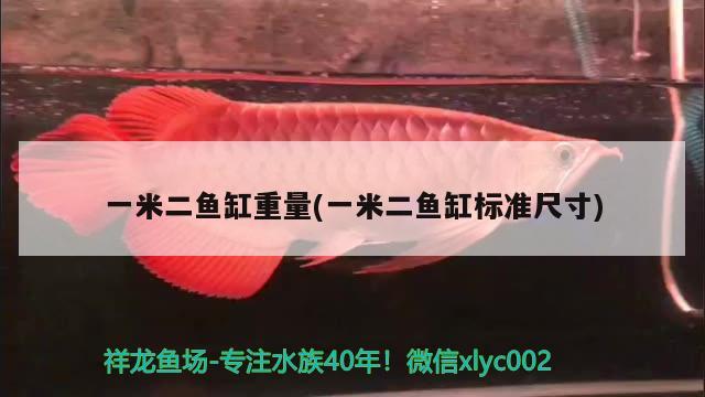 一米二魚缸重量(一米二魚缸標準尺寸) 黑云魚