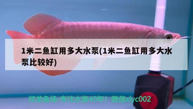 1米二魚缸用多大水泵(1米二魚缸用多大水泵比較好)