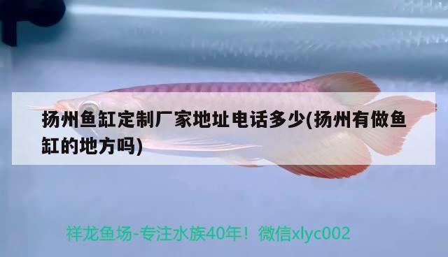 揚(yáng)州魚缸定制廠家地址電話多少(揚(yáng)州有做魚缸的地方嗎)