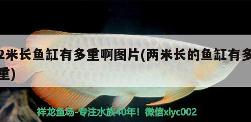 2米長魚缸有多重啊圖片(兩米長的魚缸有多重) 翡翠鳳凰魚