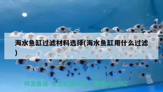 海水魚缸過濾材料選擇(海水魚缸用什么過濾) 海水魚