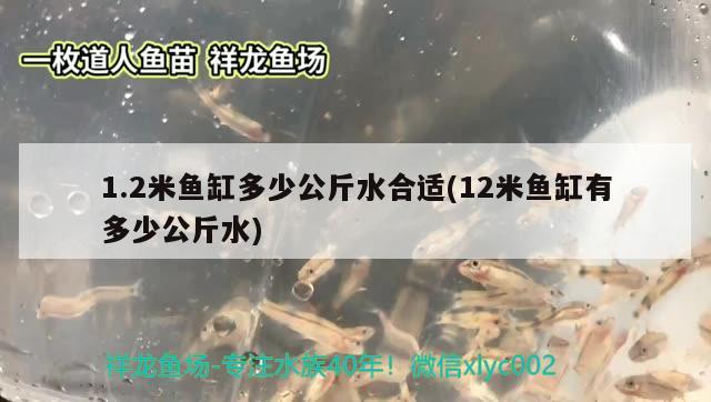 1.2米魚缸多少公斤水合適(12米魚缸有多少公斤水)