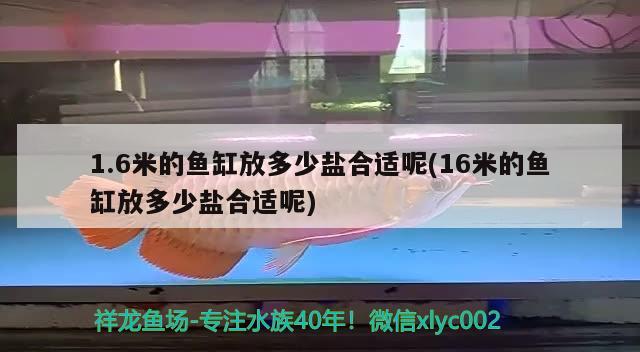 1.6米的魚(yú)缸放多少鹽合適呢(16米的魚(yú)缸放多少鹽合適呢)