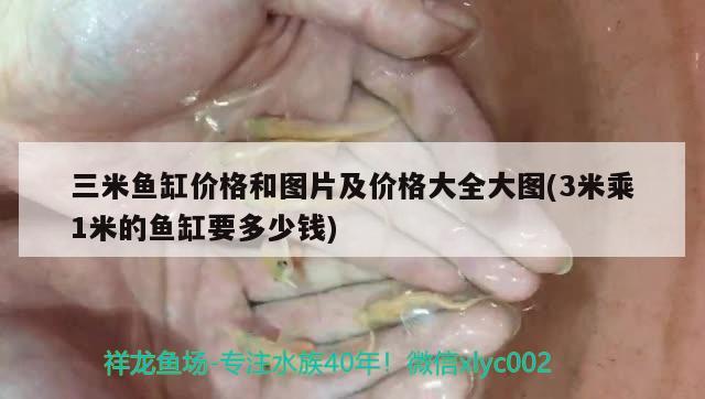 三米魚缸價(jià)格和圖片及價(jià)格大全大圖(3米乘1米的魚缸要多少錢) 印尼虎苗