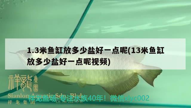 1.3米魚缸放多少鹽好一點(diǎn)呢(13米魚缸放多少鹽好一點(diǎn)呢視頻)