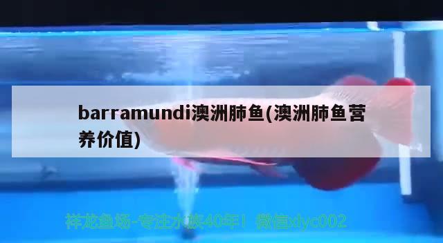 barramundi澳洲肺魚(澳洲肺魚營養(yǎng)價值)