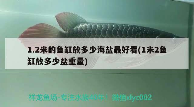 1.2米的魚(yú)缸放多少海鹽最好看(1米2魚(yú)缸放多少鹽重量)